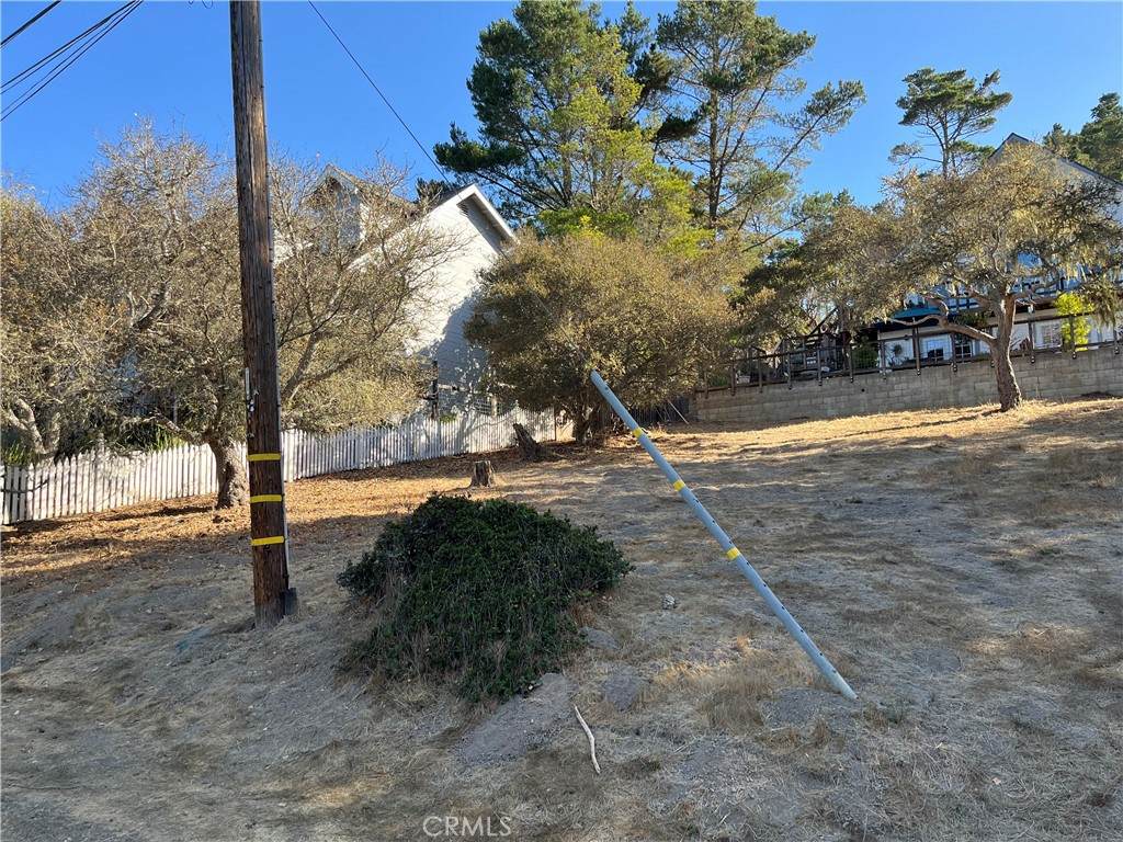 13 Tweed Avenue - Photo 1