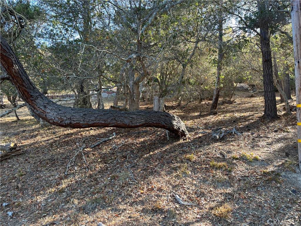 1818 Tweed Avenue - Photo 1