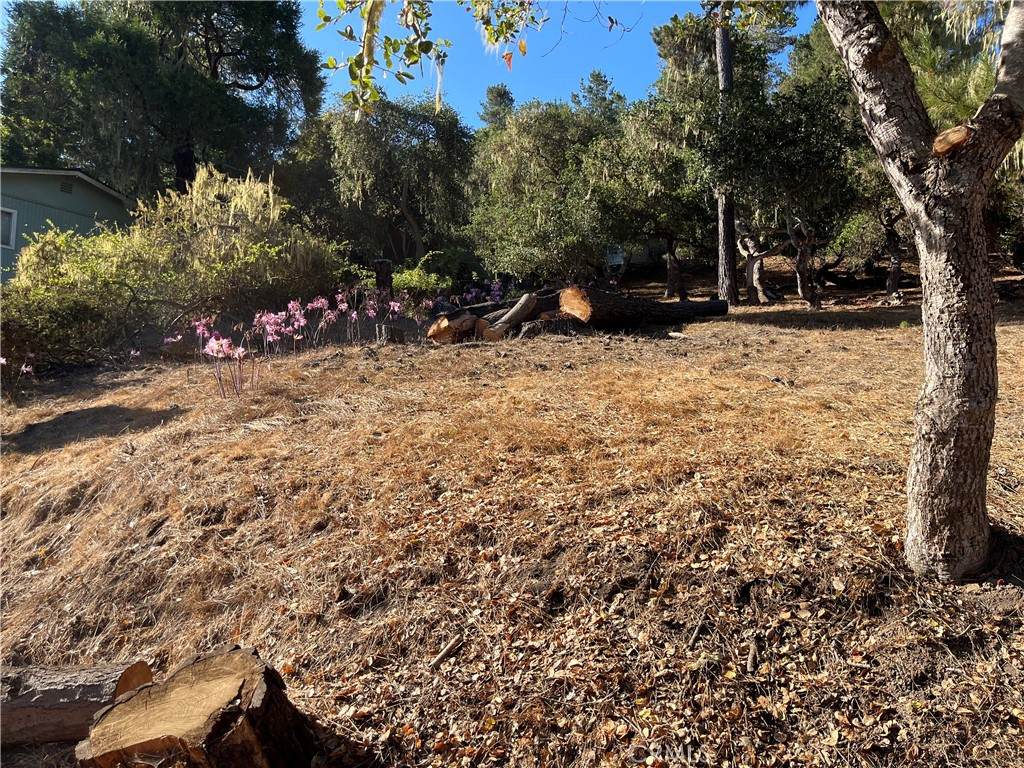 1840 Fern Drive - Photo 1