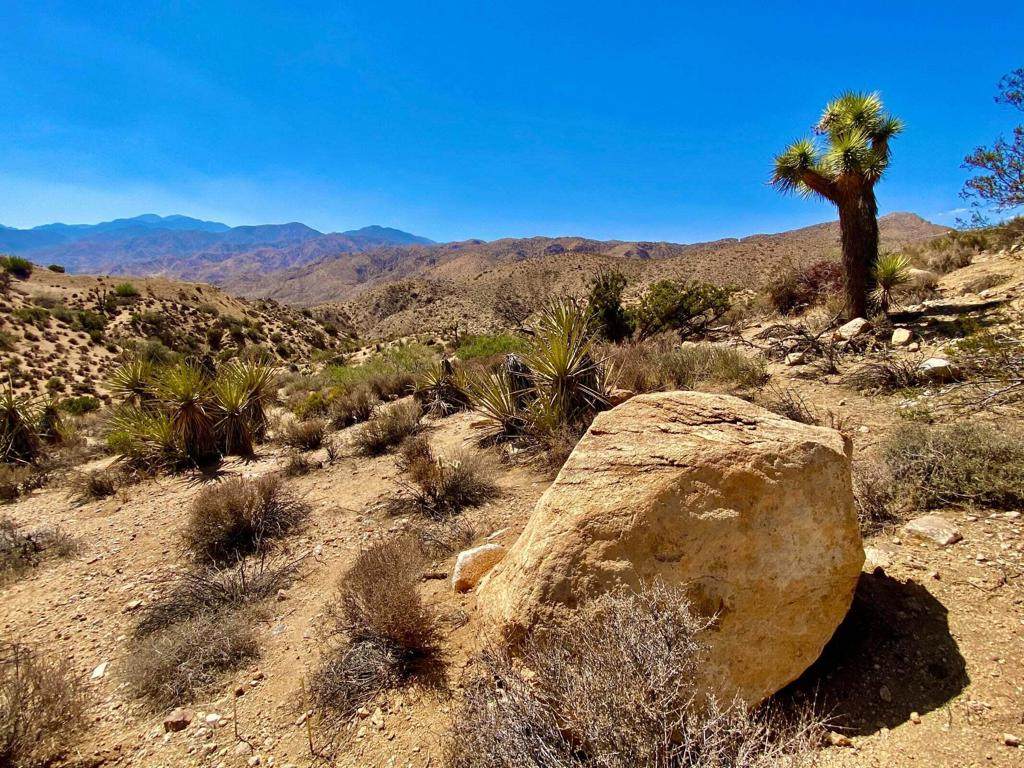 https://bt-photos.global.ssl.fastly.net/socal/orig_boomver_1_375124257-2.jpg