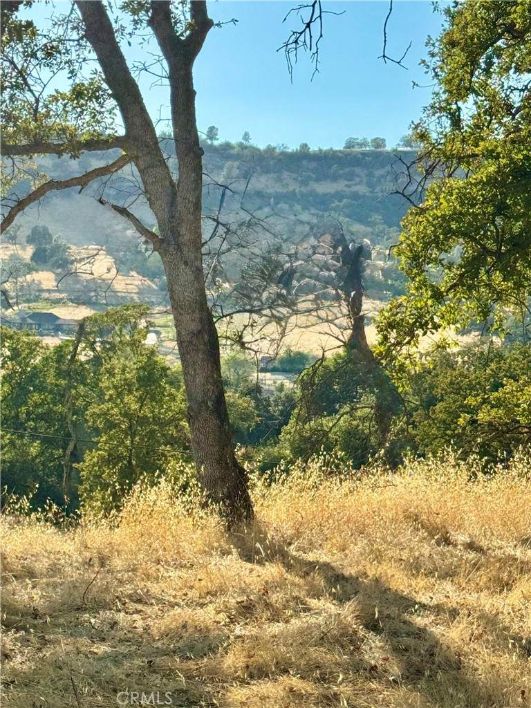 3258 Dry Creek Road - Photo 1