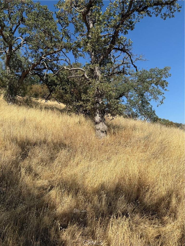 4722 Arroyo Avenue - Photo 1