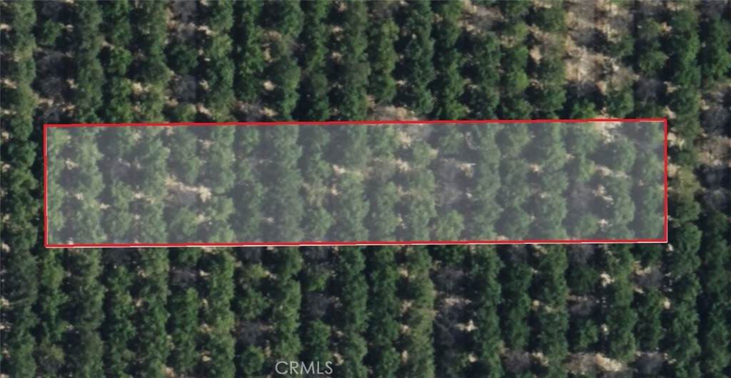 0 Kettleman City - Photo 1