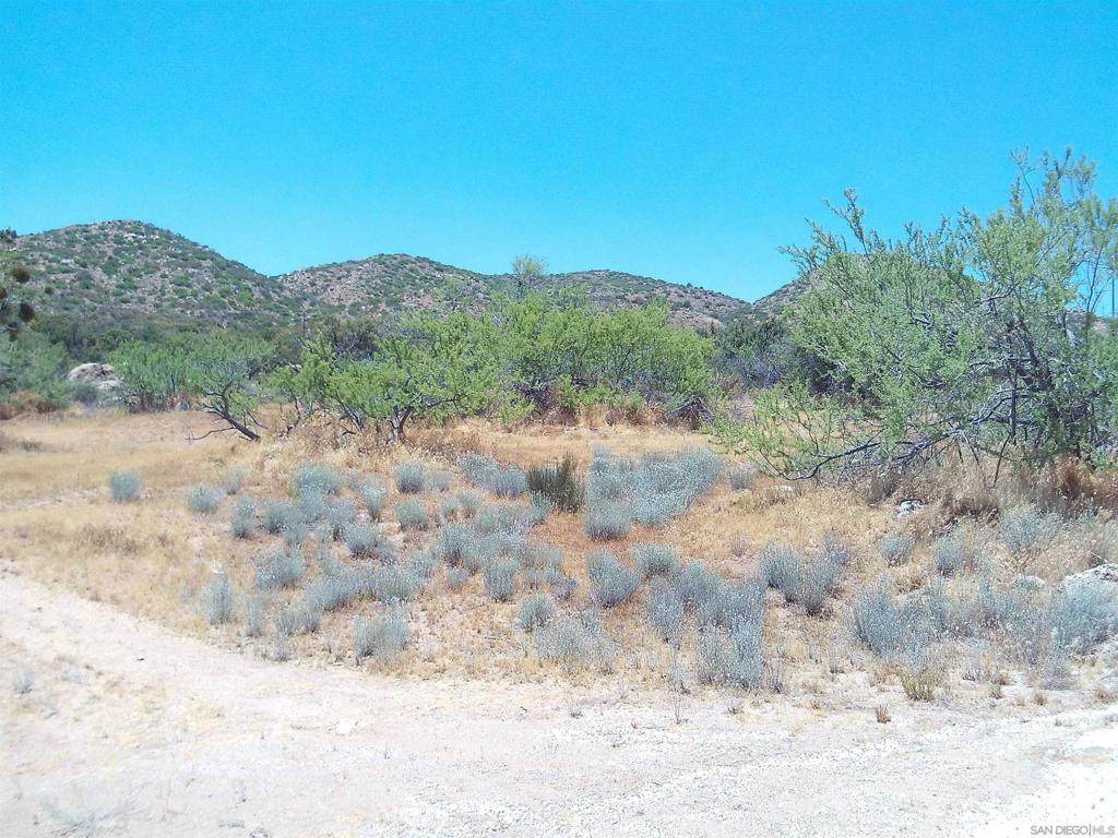 0 Chihuahua Valley Road - Photo 1