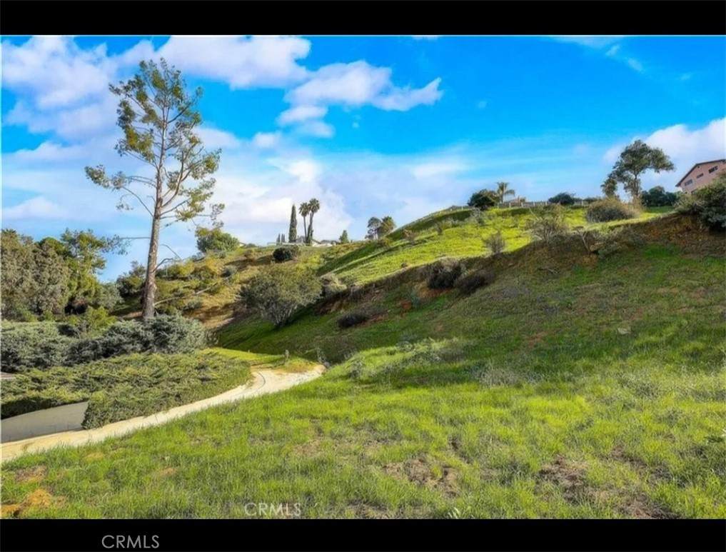 4328 Torreon Drive - Photo 1