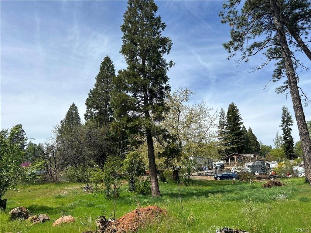 1616 Walnut Lane - Photo 1