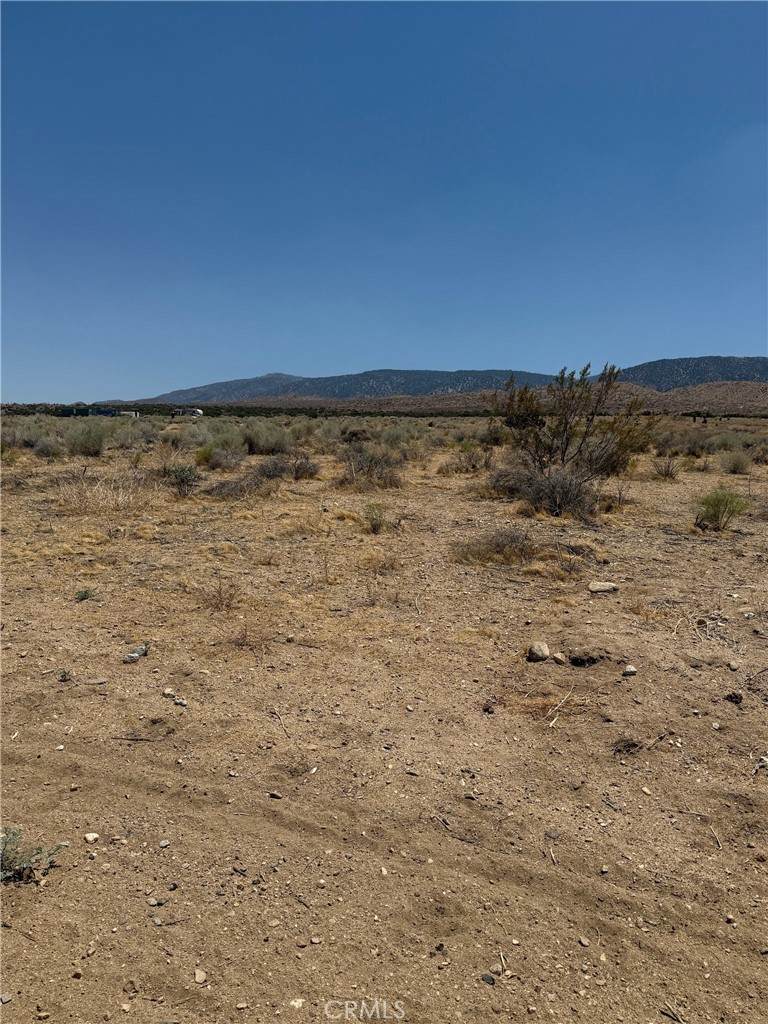 227 ste Vac/Cor Avenue - Photo 1