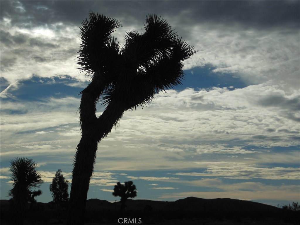 https://bt-photos.global.ssl.fastly.net/socal/orig_boomver_1_375149482-2.jpg