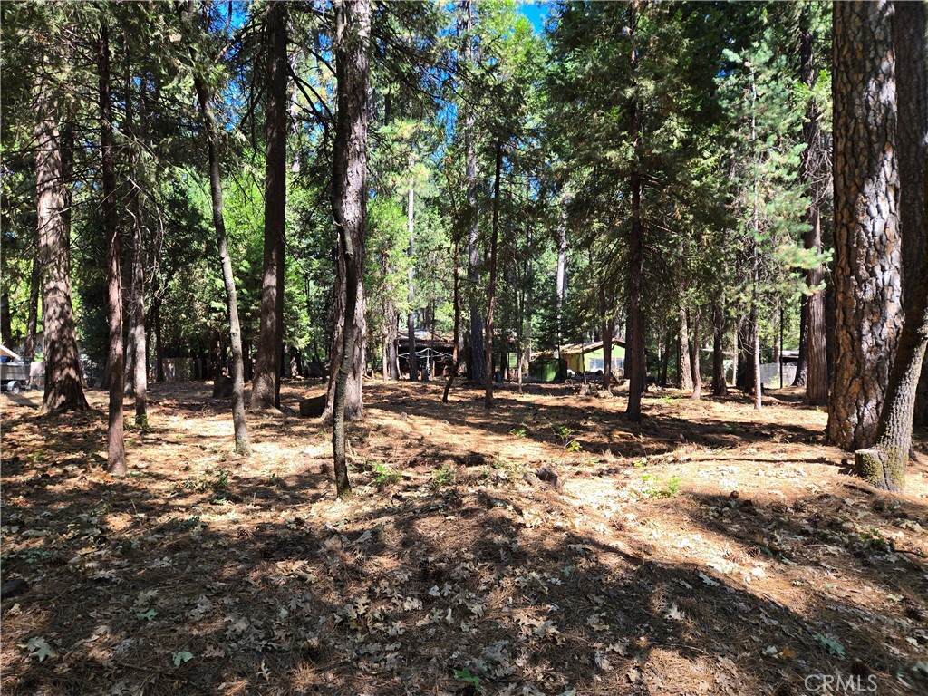 0 Tikker Ln - Photo 1