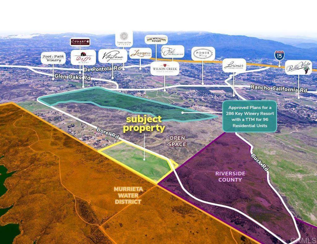 NWC Borel Road & Avenida De Laura - Photo 1