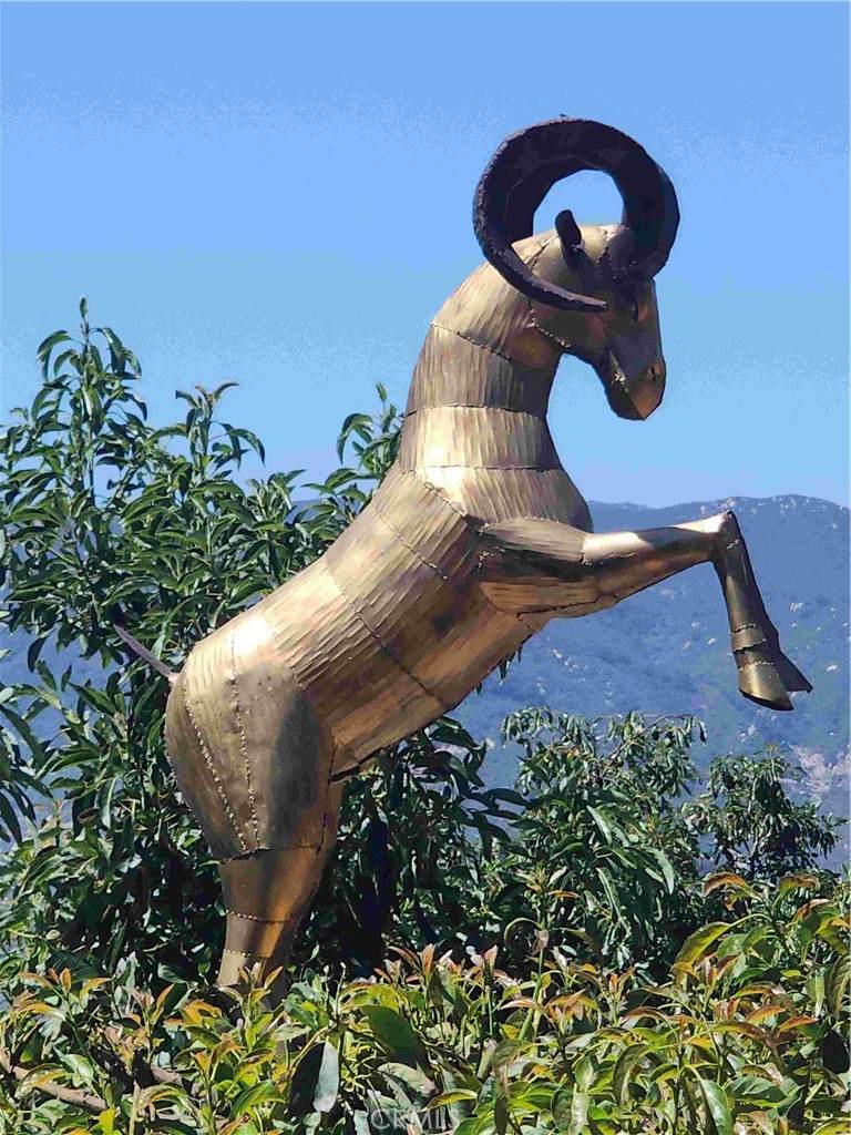 0 Los Casitas - Photo 1