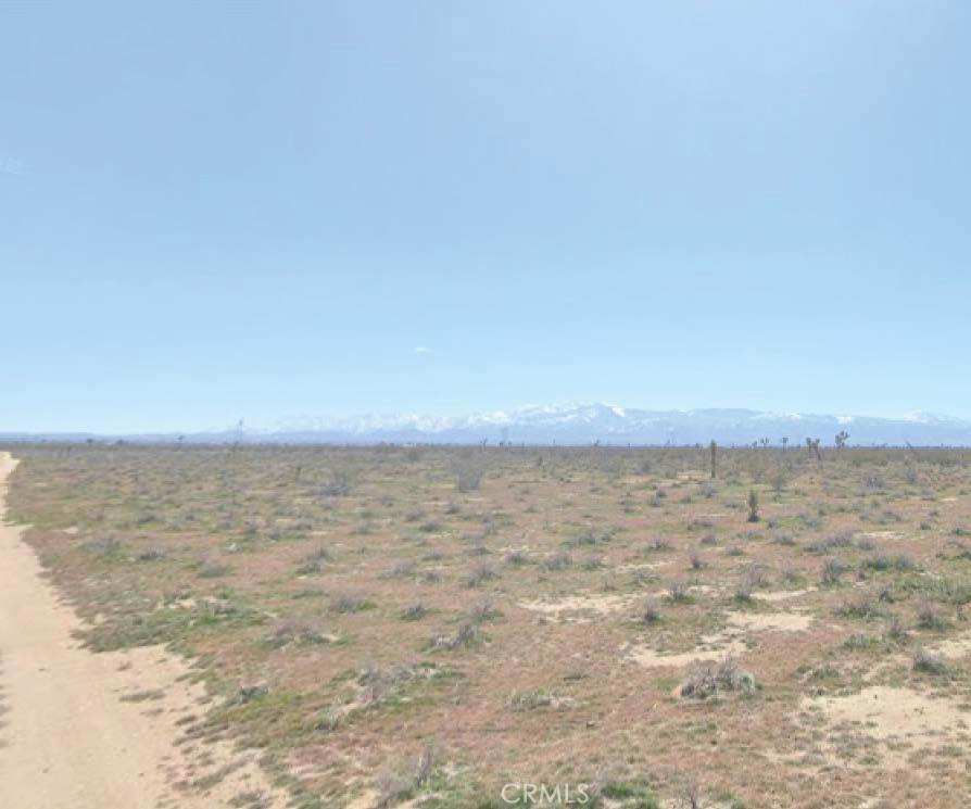 0 Cactus Rd - Photo 1