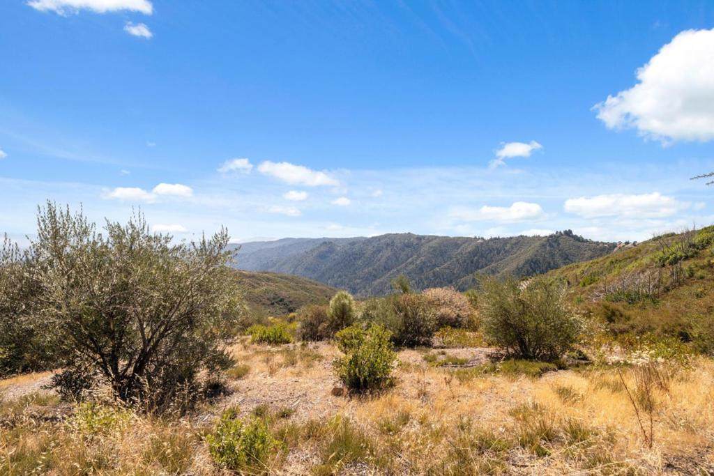 35005 Loma Chiquita Road - Photo 1