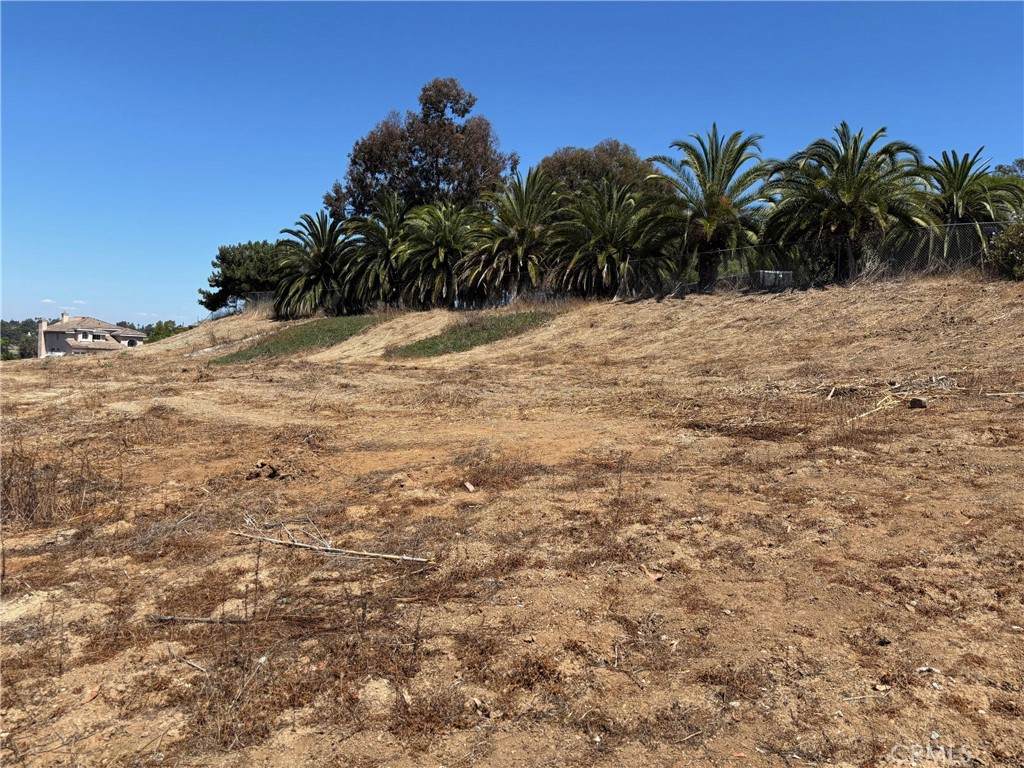 1937 Sunset Drive - Photo 1