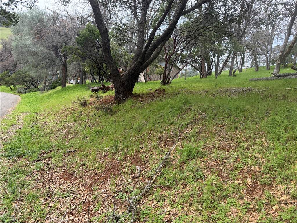https://bt-photos.global.ssl.fastly.net/socal/orig_boomver_1_375167143-2.jpg