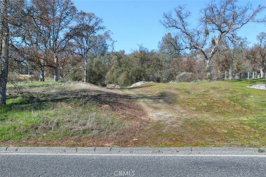 0 6.48 AC Long Hollow Drive - Photo 1