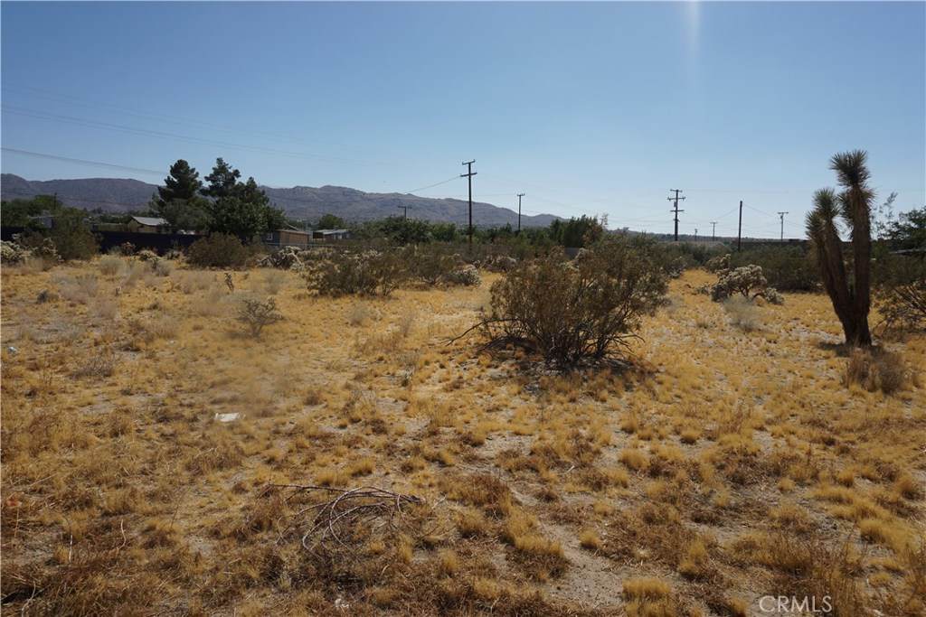 6101 Scenic Drive - Photo 1