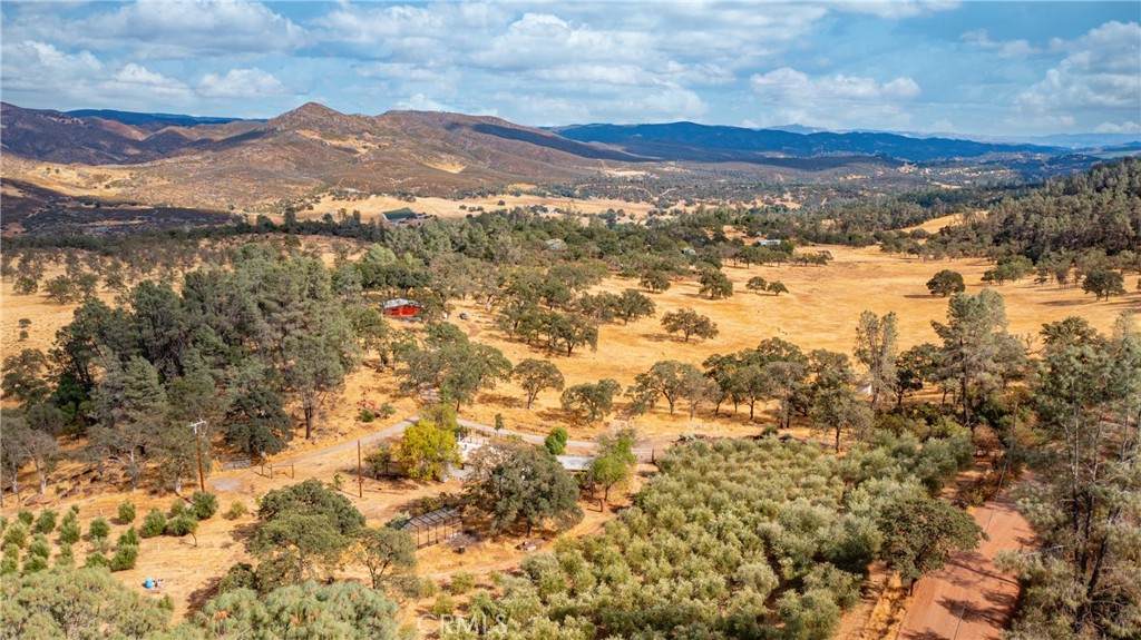 21378 Jerusalem Grade - Photo 1