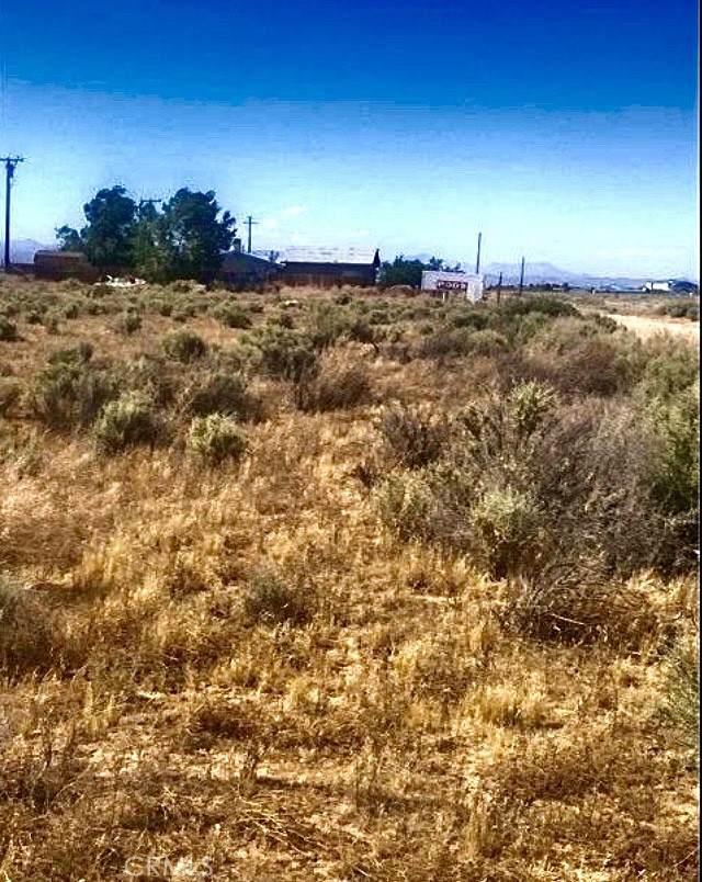 0 Hacienda Boulevard - Photo 1