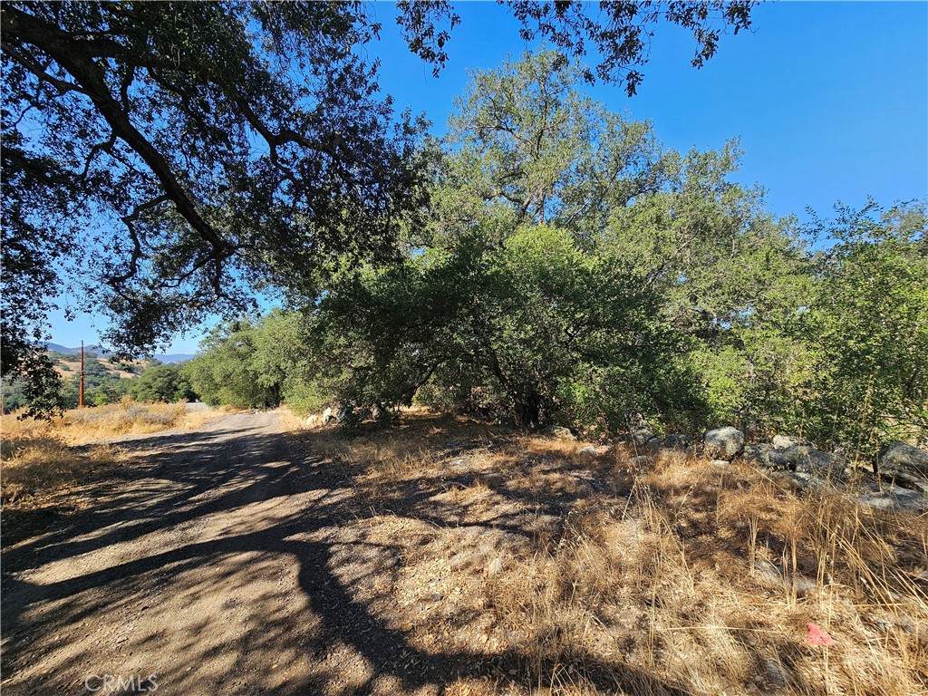 0 Highway 76 - Photo 1