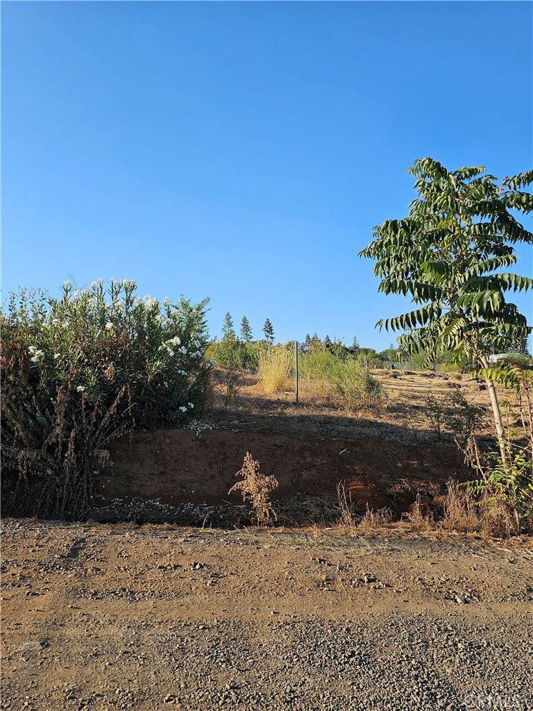 1429 Bennett Road - Photo 1