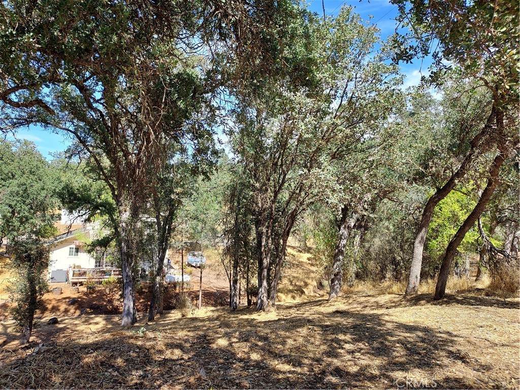 16258 35th - Photo 1