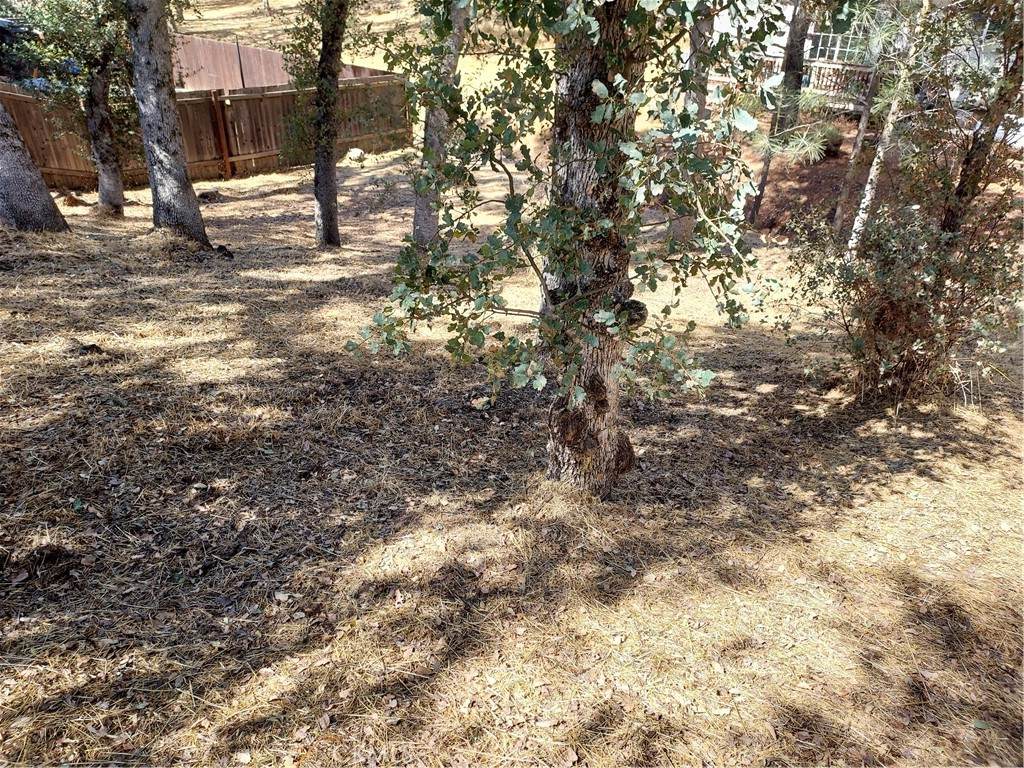 https://bt-photos.global.ssl.fastly.net/socal/orig_boomver_1_375214792-2.jpg