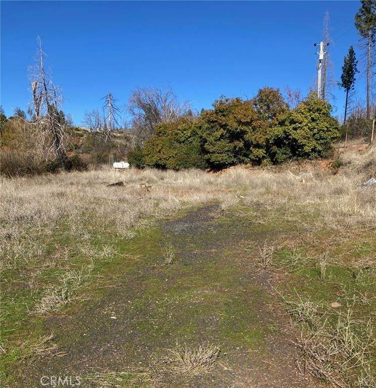 4279 Big Bend Road - Photo 1