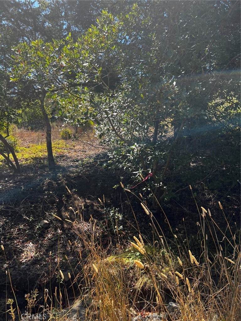 3236 Gleason Street - Photo 1