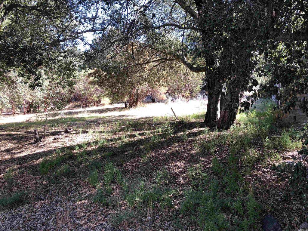 8347 Foothill Blvd - Photo 1