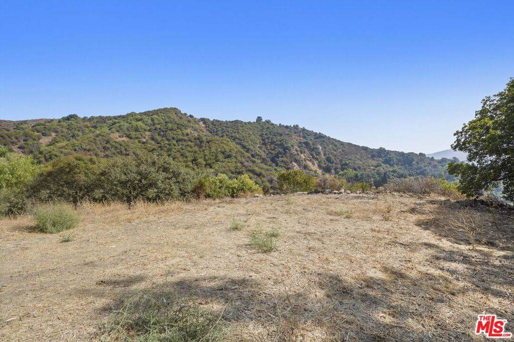 2088 3/4 Topanga Skyline Drive - Photo 1