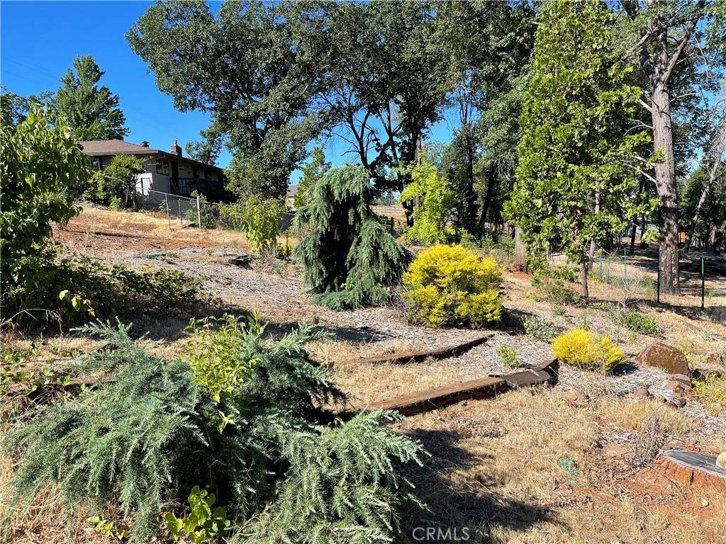 237 Redbud - Photo 1