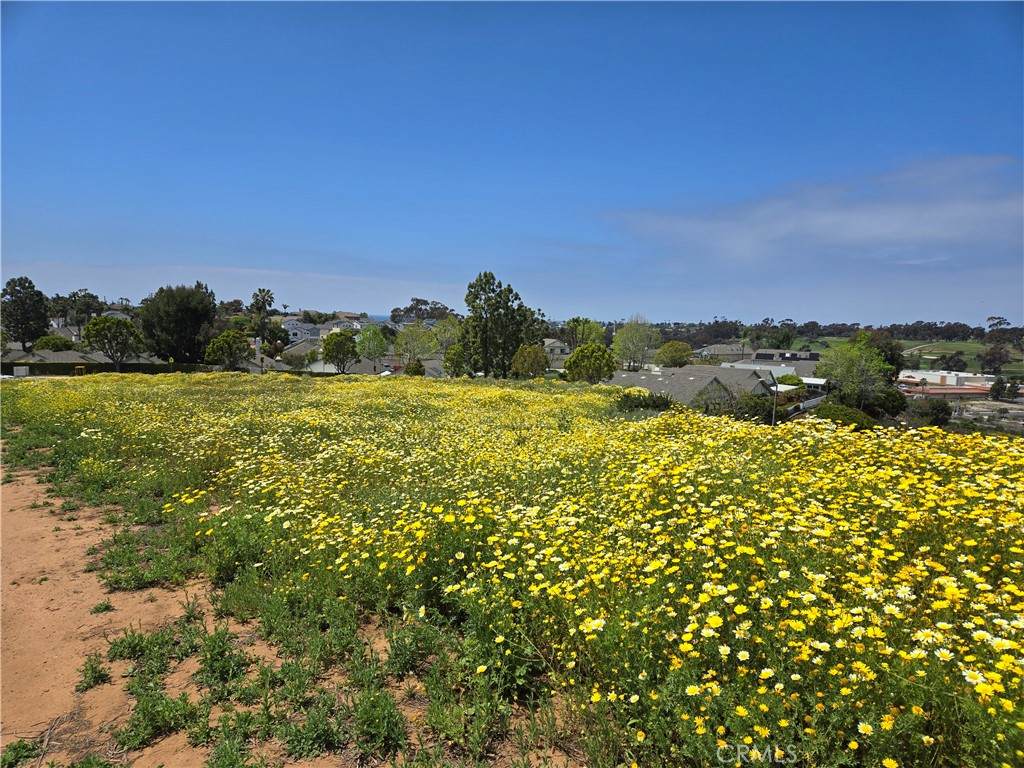 https://bt-photos.global.ssl.fastly.net/socal/orig_boomver_1_400788787-2.jpg