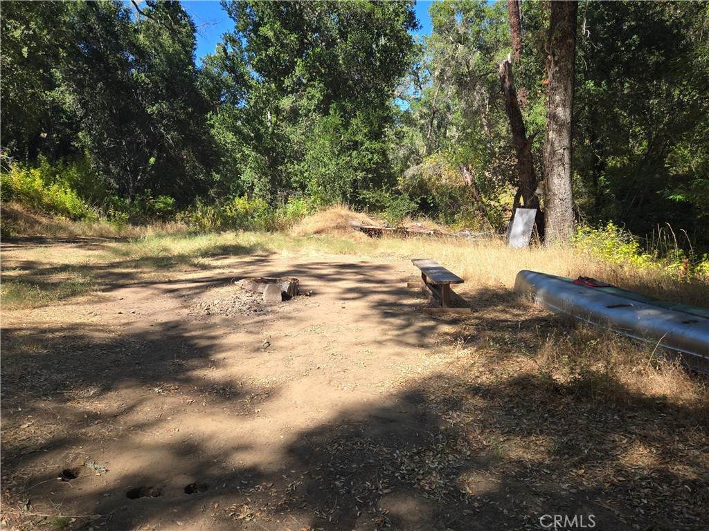 3990 Natoma Pass - Photo 1