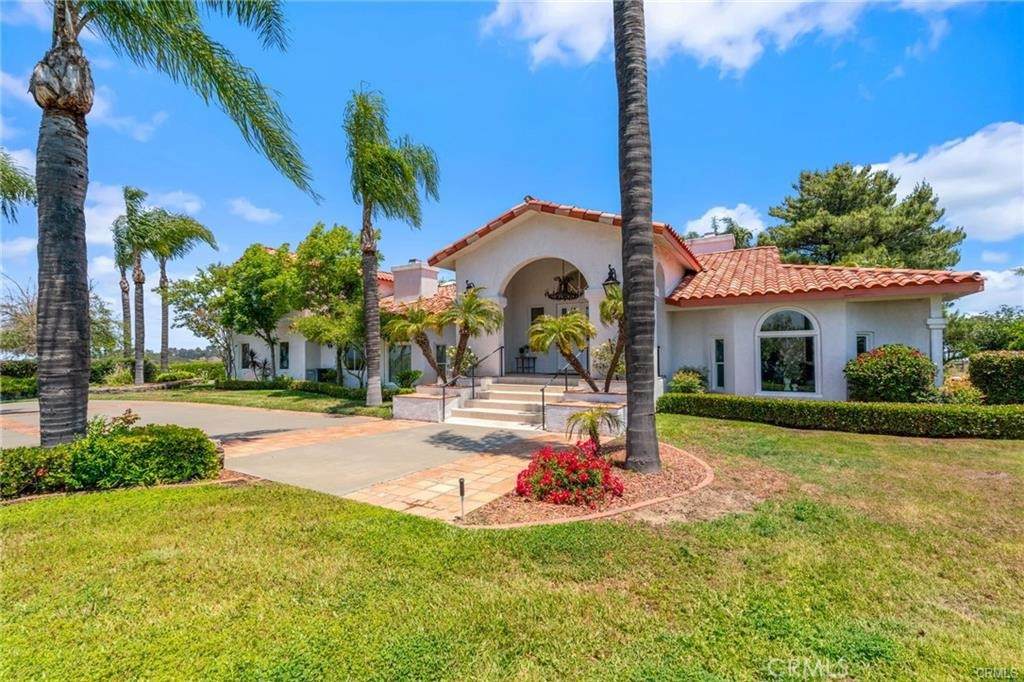 43110 Palomino - Photo 1