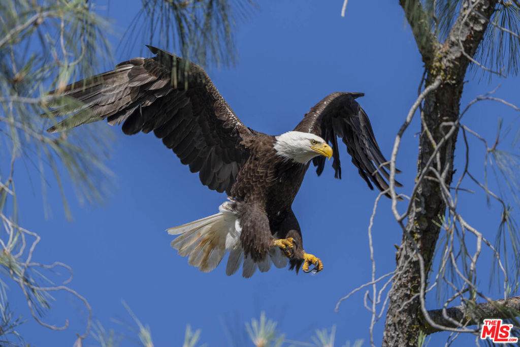 41924 Patrick Avenue - Photo 1