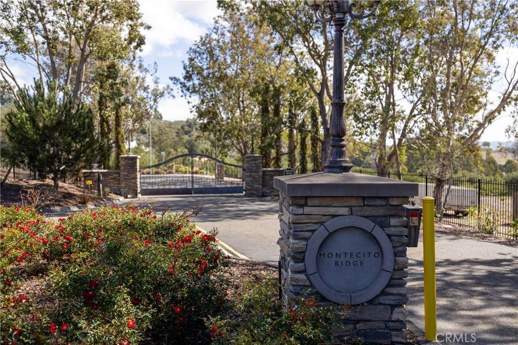 1170 Montecito Ridge Drive - Photo 1