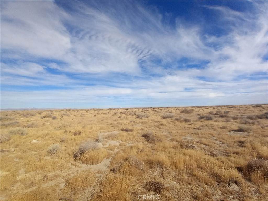 5600 Ave D6 - Photo 1