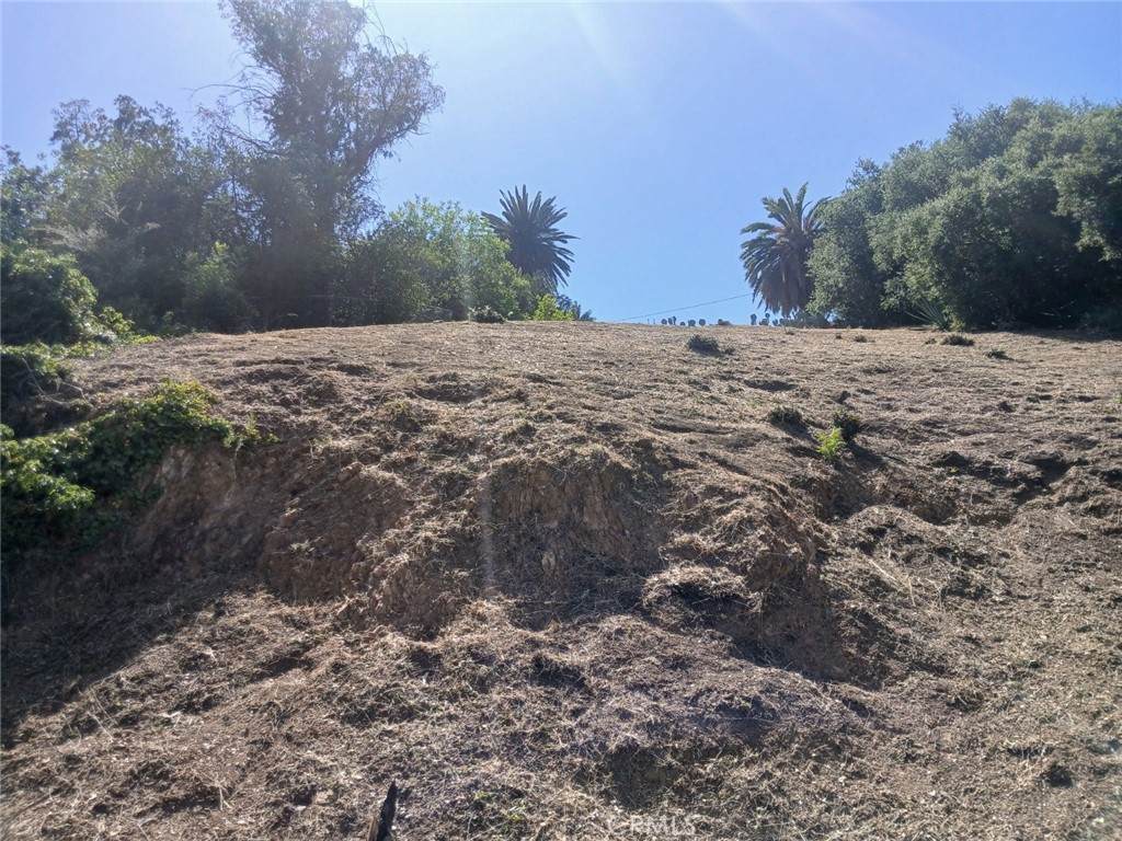 1087 Oneonta Drive - Photo 1