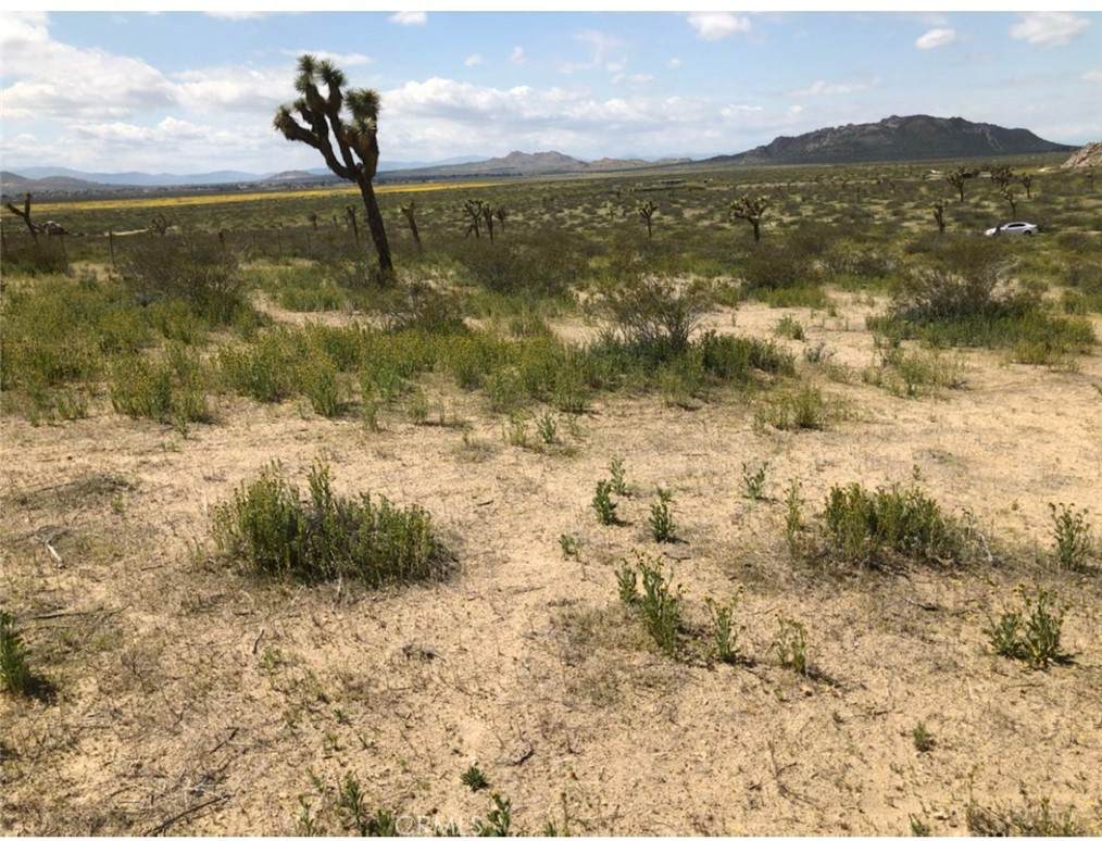 0 Vac/Vic Ave. L4/187 Ste Avenue - Photo 1