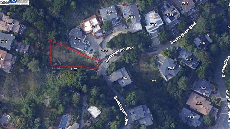  Buckingham Blvd - Photo 1