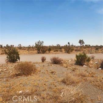 1590 Saratoga Road - Photo 1