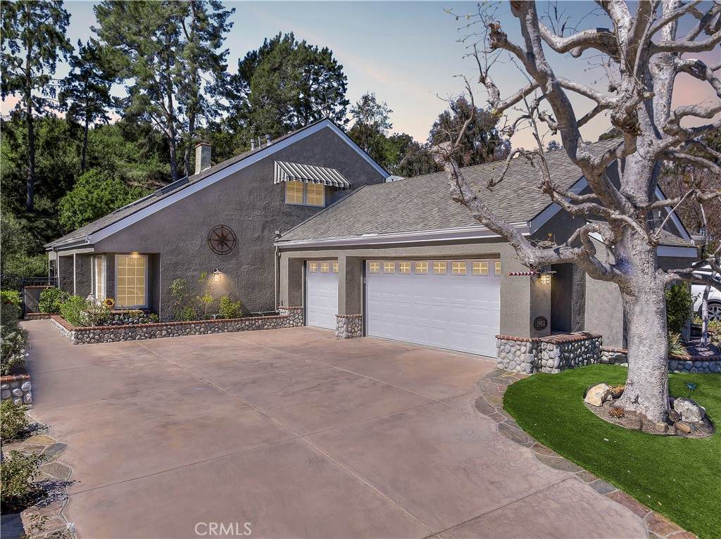 29931 Happy Sparrow - Photo 1