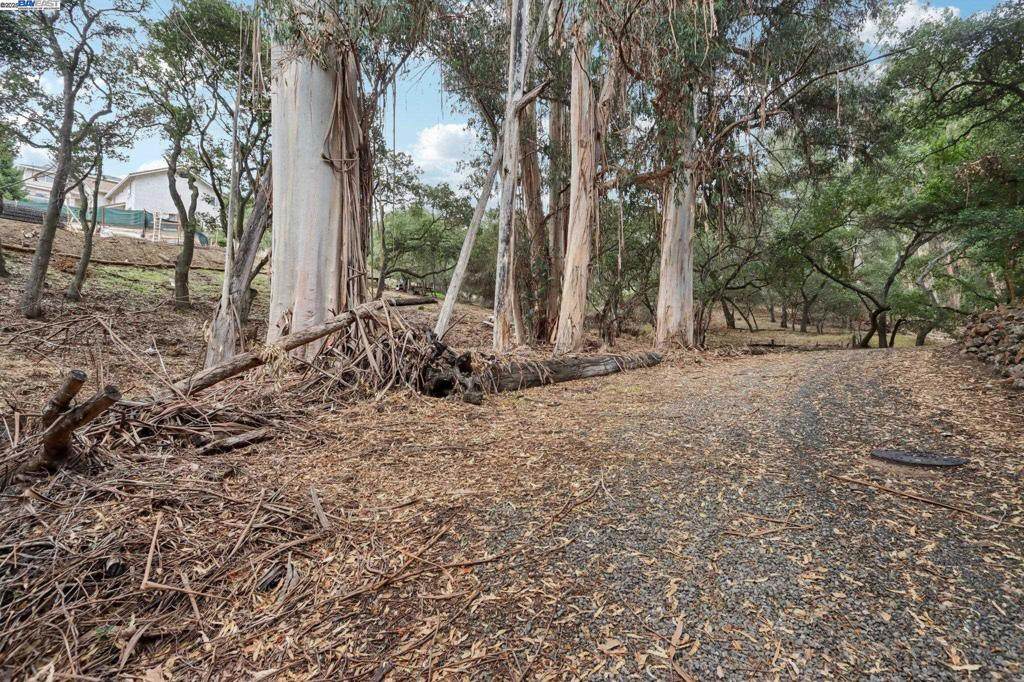 0 Hidden Oaks Dr - Photo 1