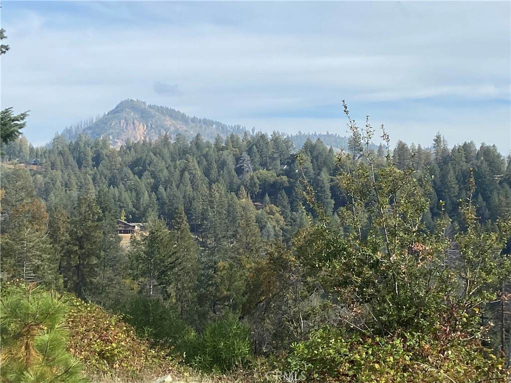 13690 Andover - Photo 1