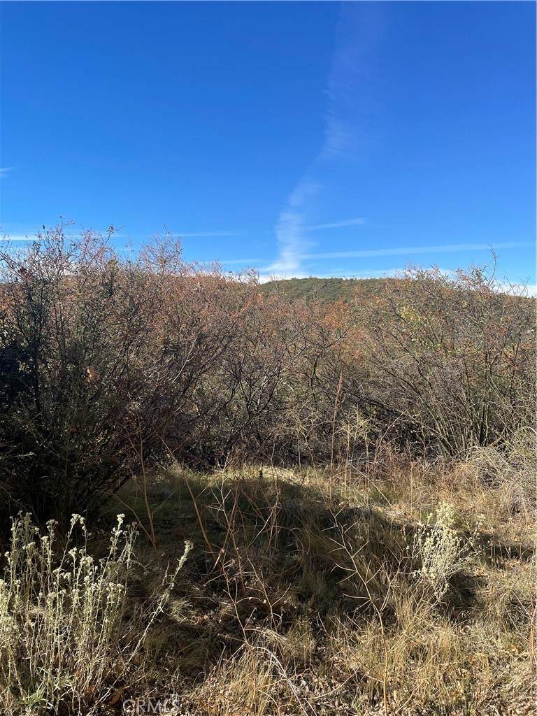 0 Acacia Road - Photo 1