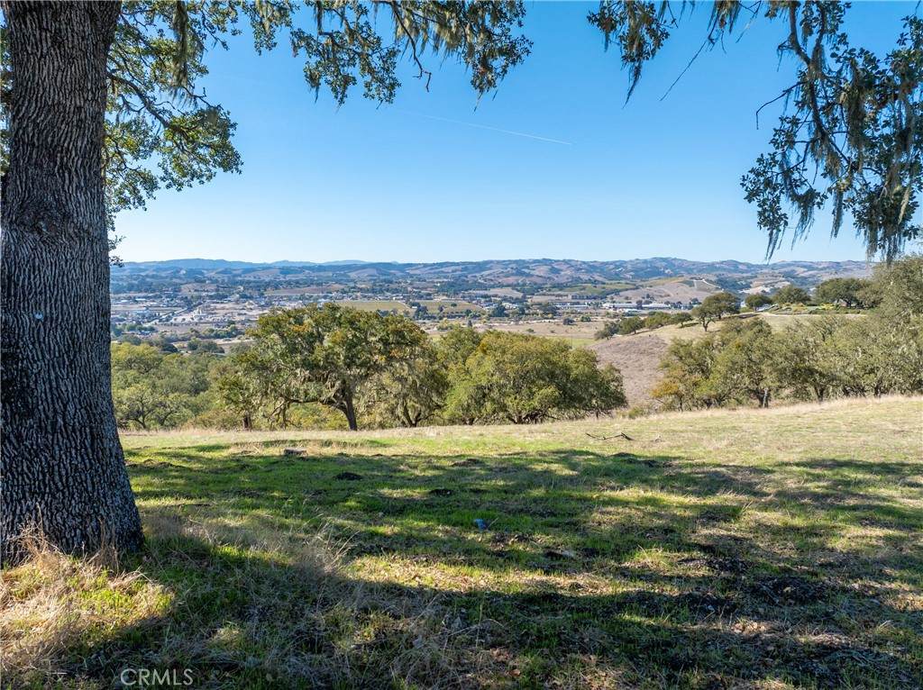 2264 Lake Ysabel - Photo 1