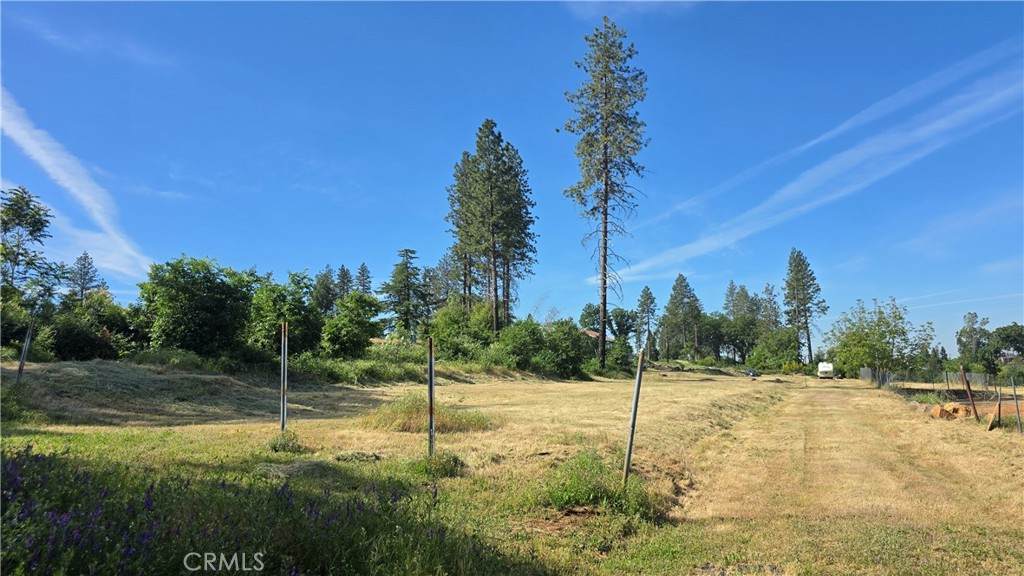 3810 Honey Run - Photo 1