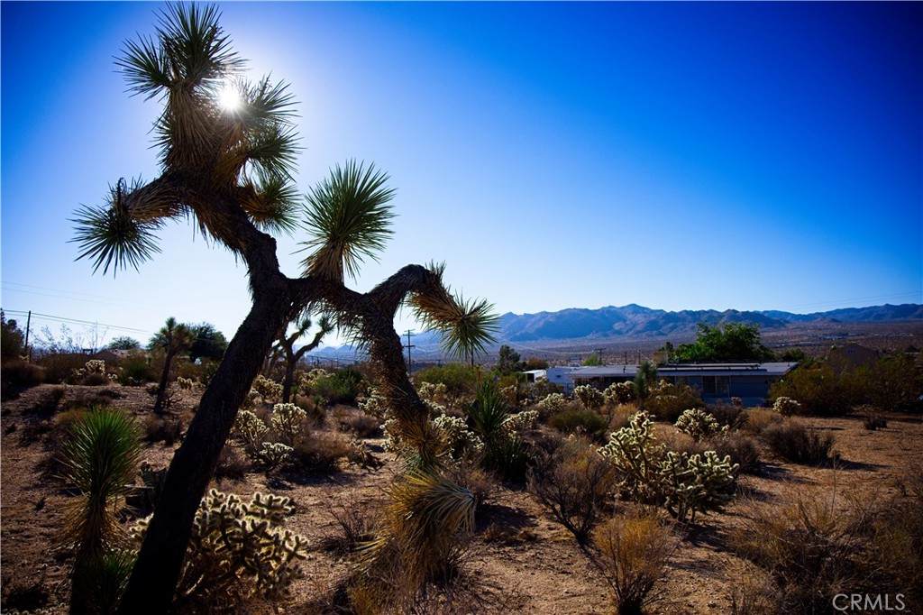 0 Marvin Dr - Photo 1