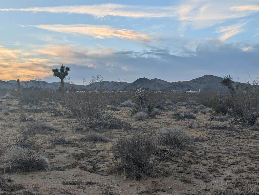 476 Ripon Avenue - Photo 1